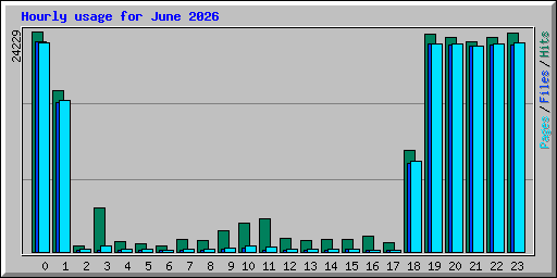 Hourly usage for June 2026