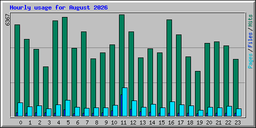 Hourly usage for August 2026